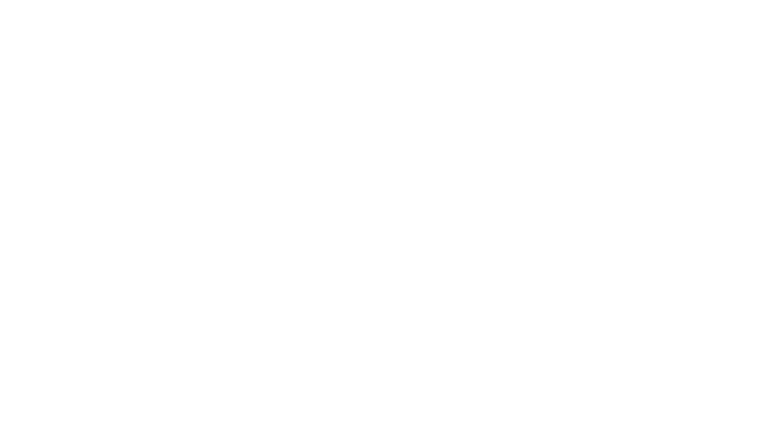 VOYANT